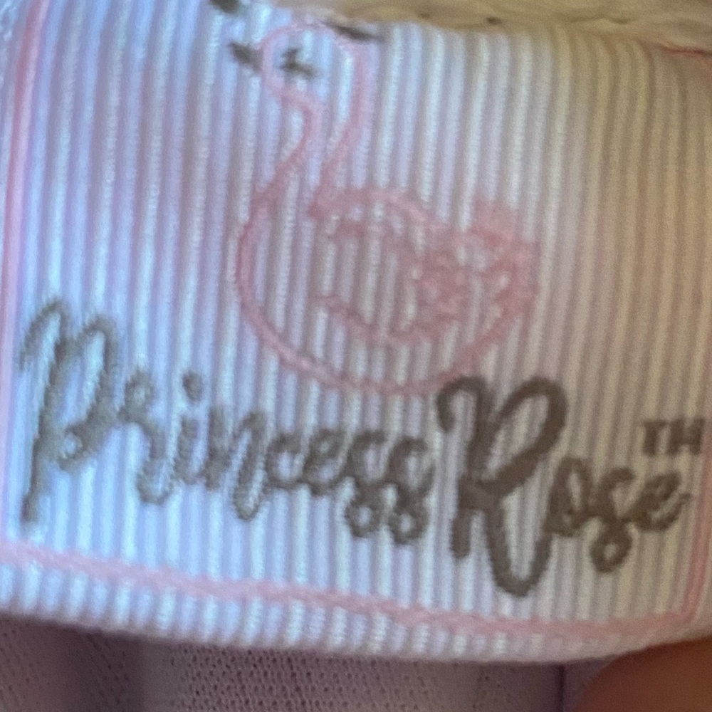 Princess Rose dress